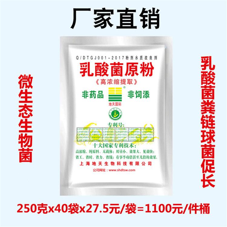 【33】乳酸菌原粉 分解残饵粪便调水底改净水除臭生物菌防病促长