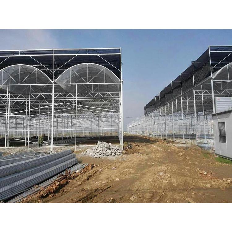 山东薄膜连栋温室公司成铭温室建设建造连栋温室大棚
