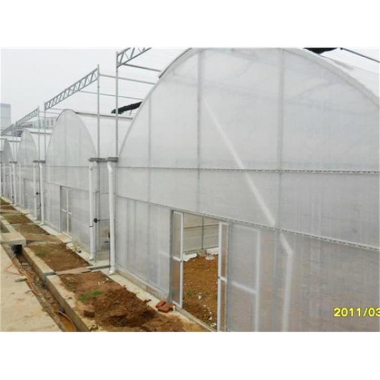 成名温室承建薄膜连栋温室 连栋温室 连栋温室大棚