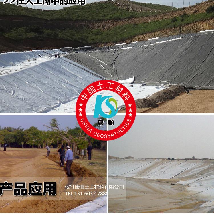 复合土工膜两布一膜 水池人工渠水库湖防渗水长丝复合膜