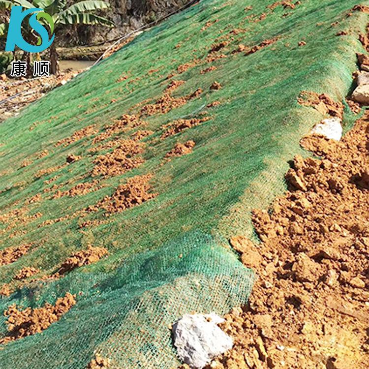 厂家直销多规格三维土工网垫 三维植被网护坡植草网绿化防护