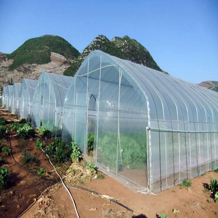 寿光拱形温室建造 金农温室 山东拱形温室大棚承建商