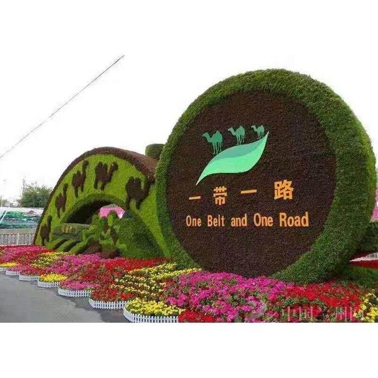 青州五色草小苗 造型专用五色草批发价格 久顺花卉