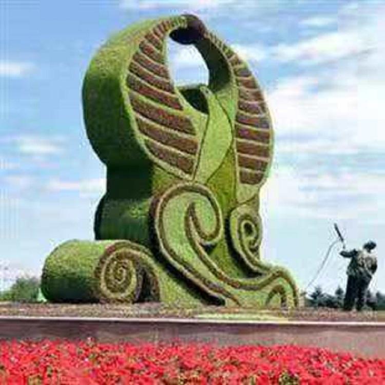 山东五色草基地 五色草租摆专用苗 久顺花卉
