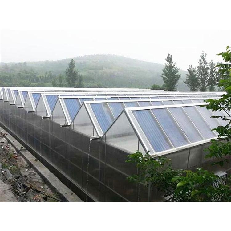 山东光伏温室大棚建造公司 承建温室大棚 成铭温室 光伏温室建造