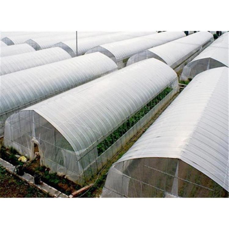 蔬菜种植大棚报价 农用大棚承建商