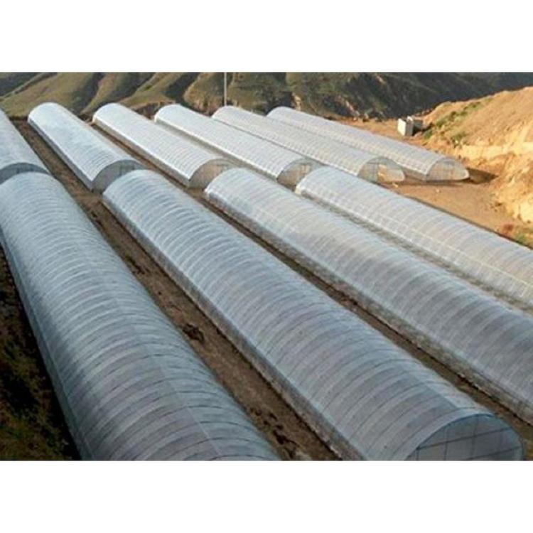 蔬菜大棚承建 蔬菜大棚建设 鑫创蔬菜种子大棚建造商