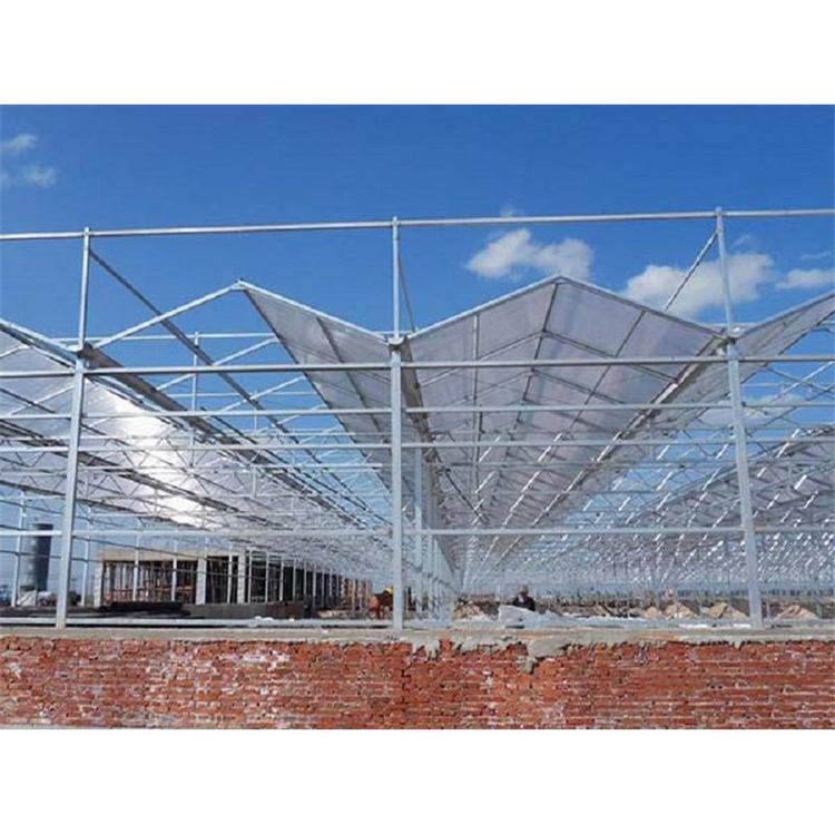 PC板连栋温室大棚建造公司 鑫创 PC板连栋温室建设