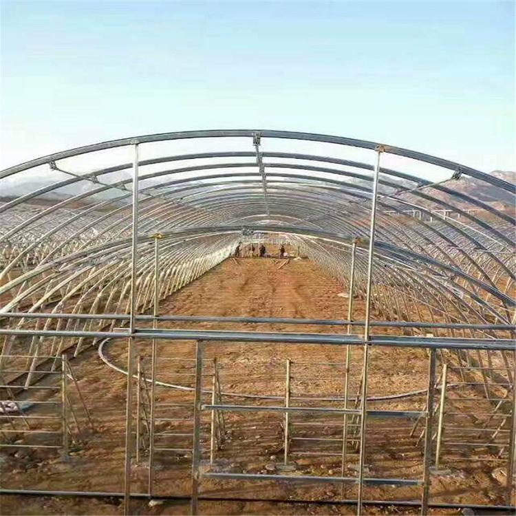 山东春秋拱棚承接 大型拱棚建造