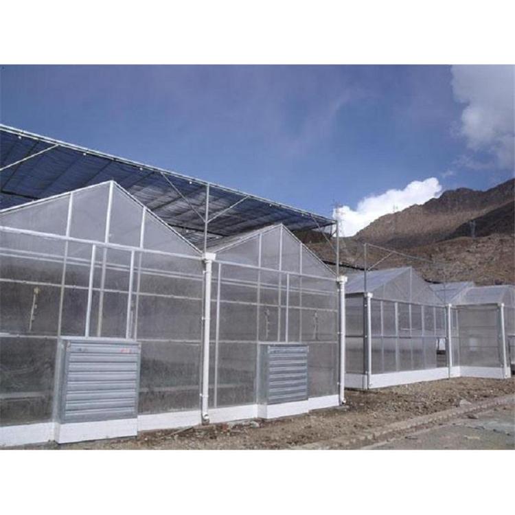山东文洛式阳光板温室建设 阳光板温室设计