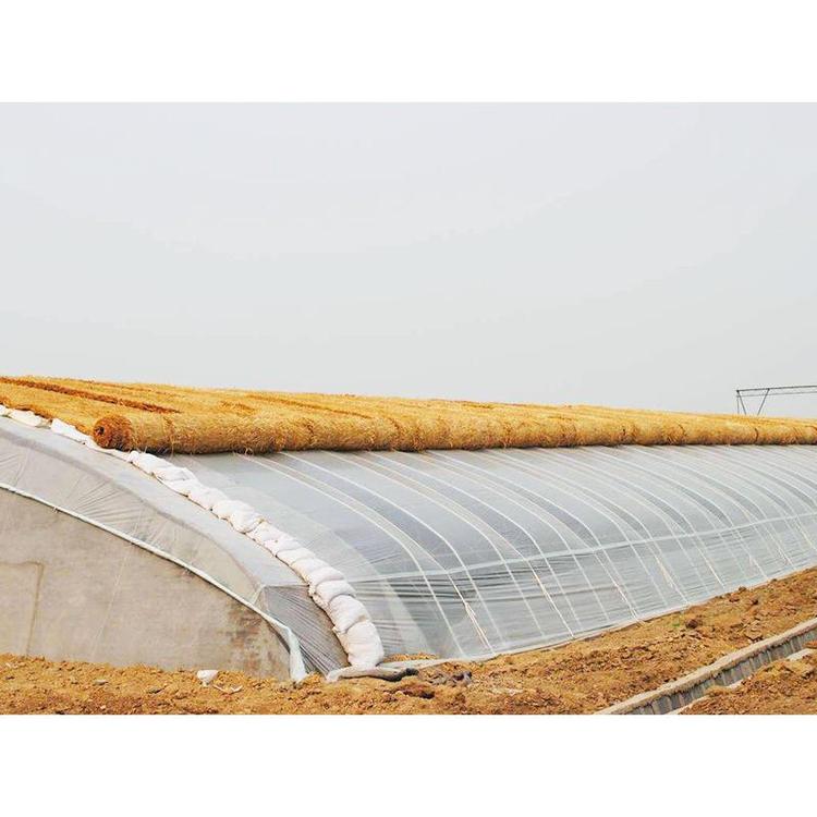 承建日光温室大棚价格 日光温室价格 日光温室大棚建造