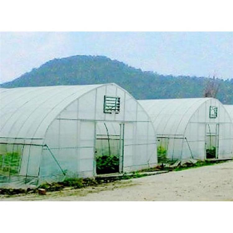 潍坊春秋拱棚建造商  鑫创大棚建设