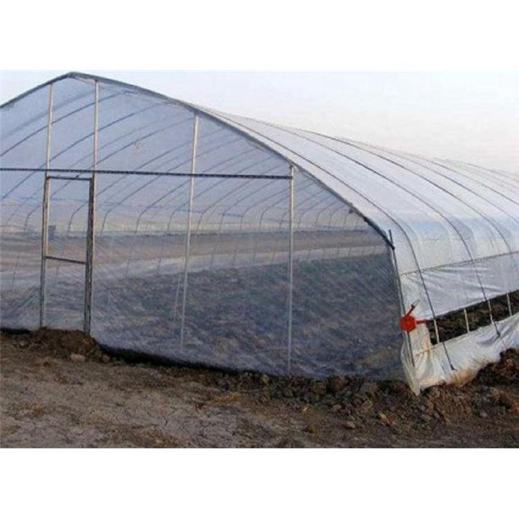 种植大棚报价  价格合理的蔬菜种植大棚建造商