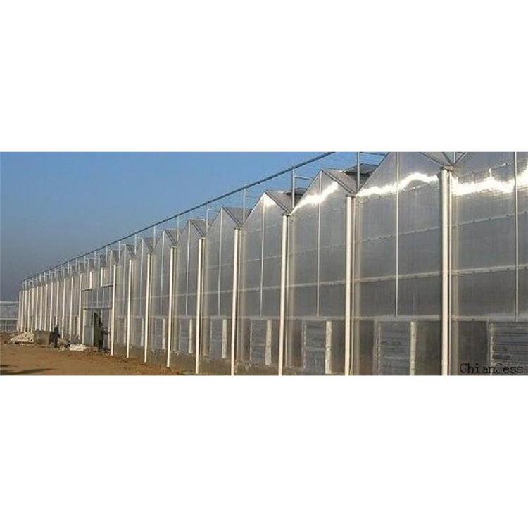 山东pc板温室报价 好品牌鑫创 pc板温室工程