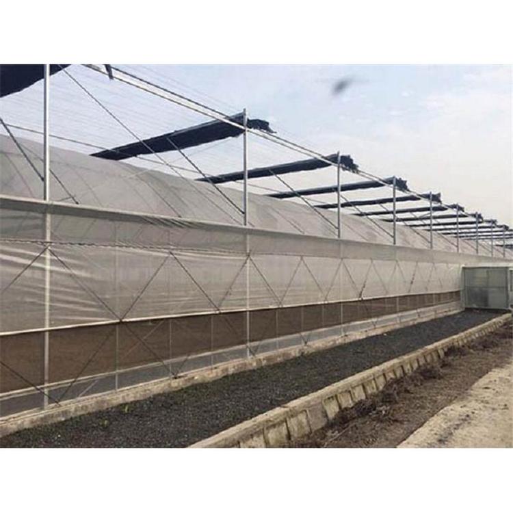 双拱双膜温室建设   双拱双膜温室造价