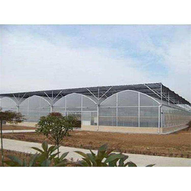 山东双拱双膜温室建造商 鑫创温室