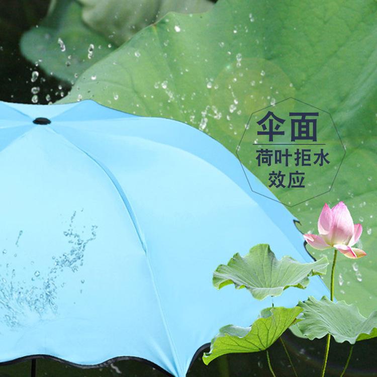 遇水开花雨伞创意广告伞定制logo变色黑胶雨伞三折折叠防晒遮阳伞