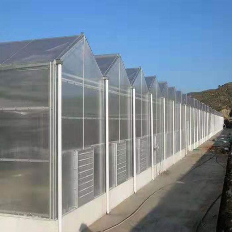 比较之后还是金农温室好 山东阳光板温室建设公司