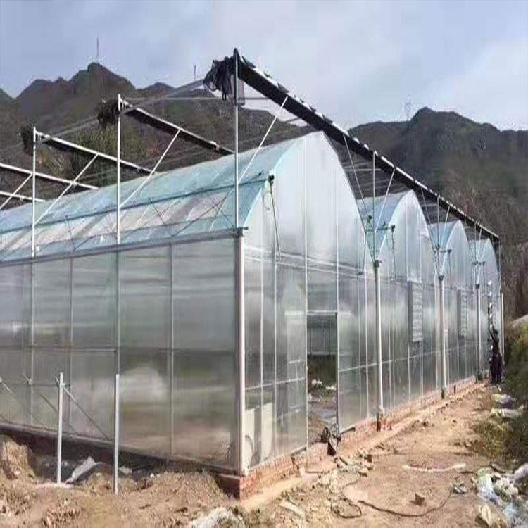金农温室-阳光板温室建造商 阳光板智能温室 采光不错的阳光板温室