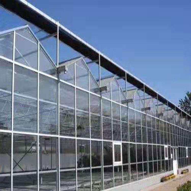 青州阳光板温室建造商 金农温室 阳光板温室大棚定制报价