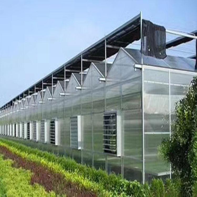 建造阳光板温室 青州阳光板温室建设定制 金农温室报价合理