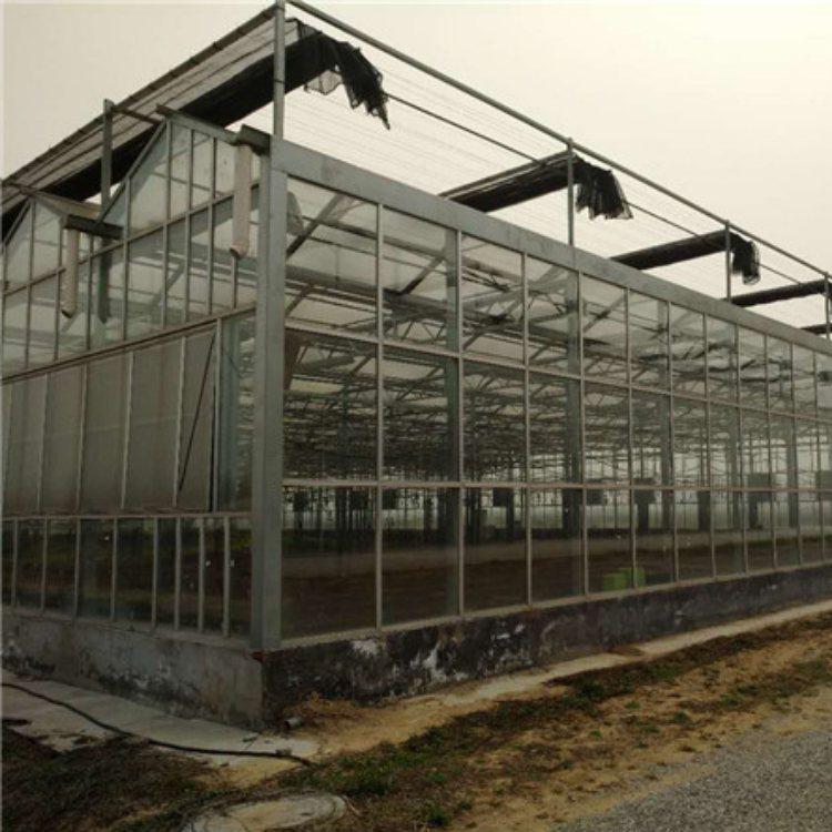 玻璃温室建造玻璃大棚建造