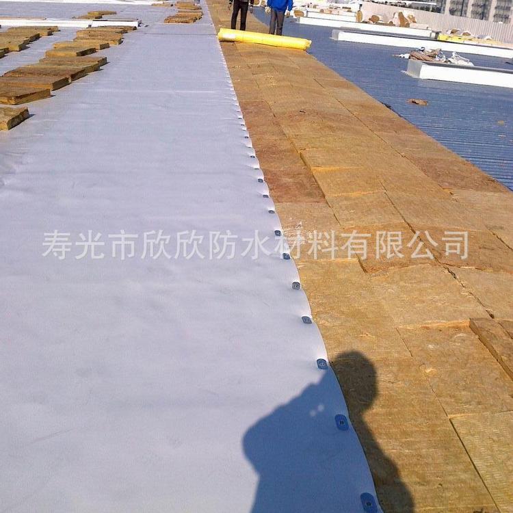外露PVC防水卷材 耐根穿刺防水卷材 高分子聚氯乙烯pvc防水卷材