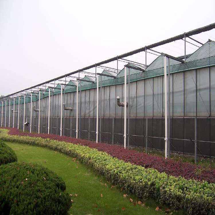 智能温室建造 智能连栋温室建造