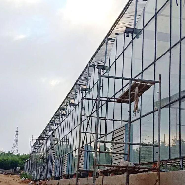 智能温室价格 智能温室工程价格