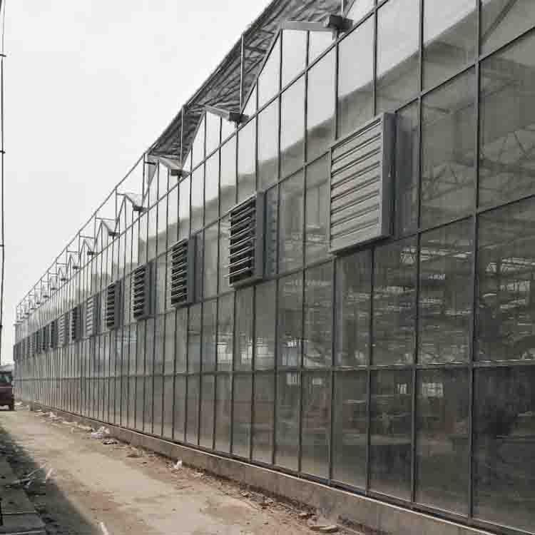 新型钢管智能温室建造鸿运达温室大棚建造