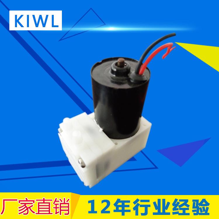 厂家直销 家用无刷防爆水泵 微型自吸水泵静音医疗水泵