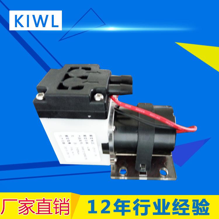 生产厂家 微型直流无刷潜水泵自吸泵 微型家电220v微型水泵