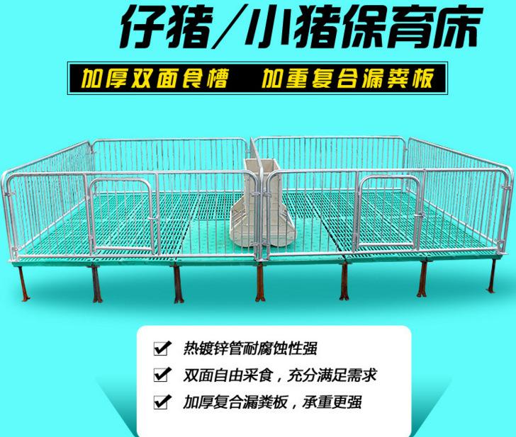 大量批发小猪连体保育床、复合板母猪产床热镀锌家用养殖设备