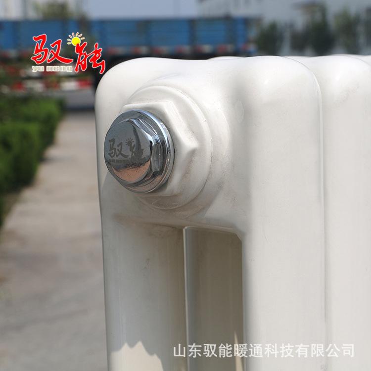 钢制壁挂式暖气片 厂家直销50~25中心距600方片头家用散热器