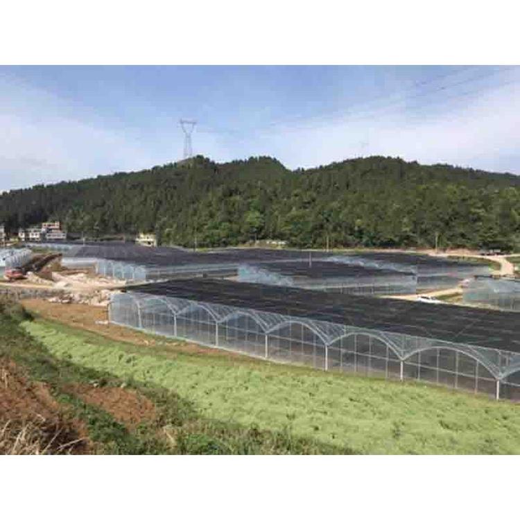 薄膜连栋温室建造 薄膜连栋温室大棚建造