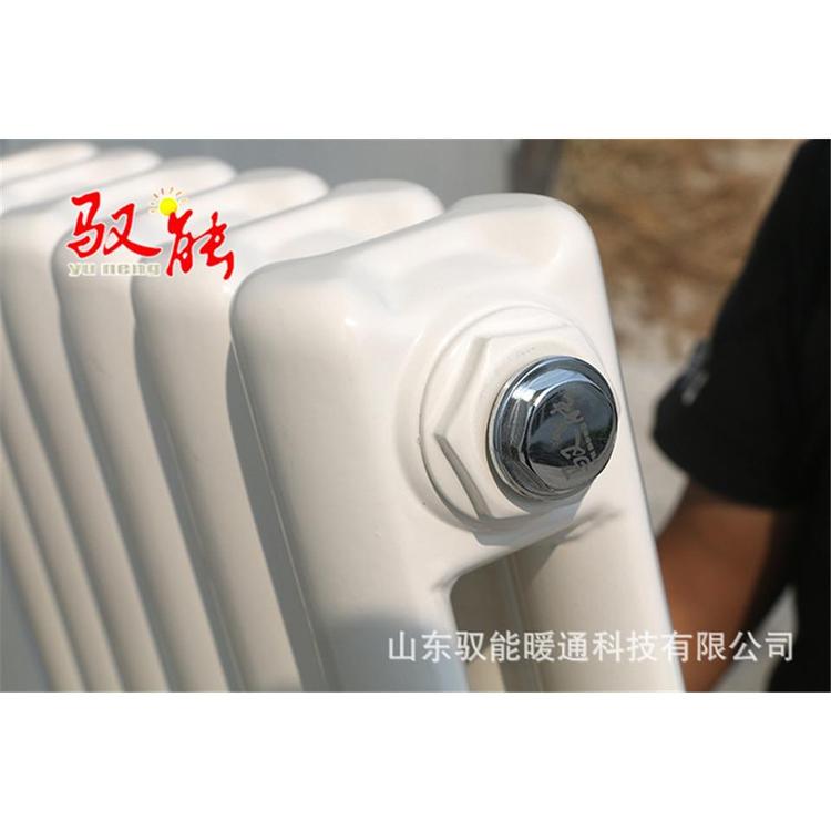 吉林壁挂式钢制散热器 60-30mm钢制散热器厂家_定制供应