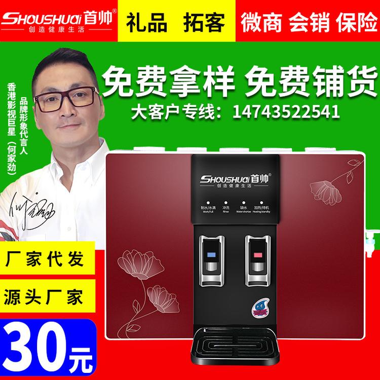 五级加热一体净水器 RO反渗透纯水机 家用厨房净水机 电器会销礼品批发