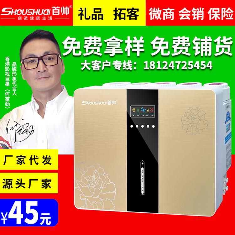 直饮标准家用净水器 五级过滤RO反渗透纯水机  可去除重金属净水器