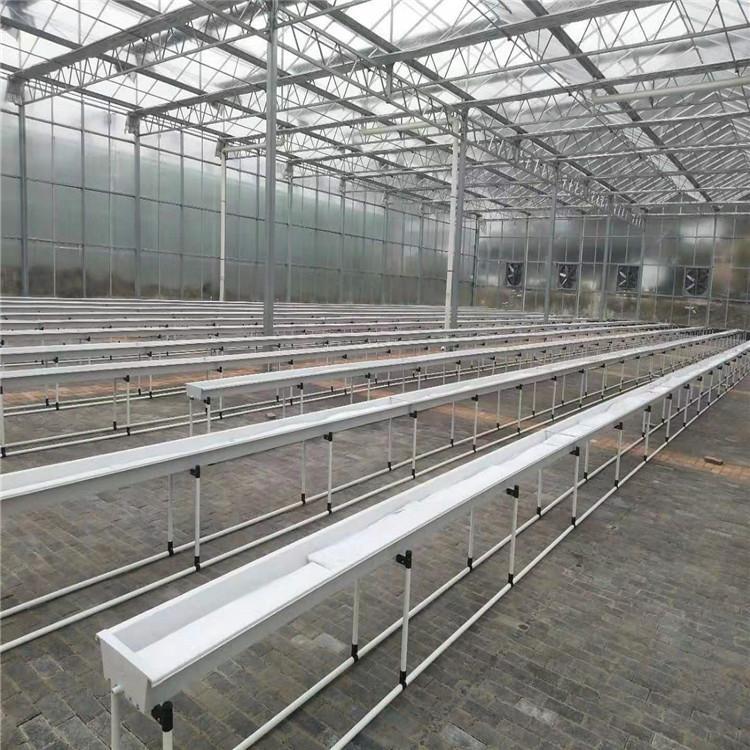 蔬菜无土栽培  植物无土栽培厂区建设 和煦