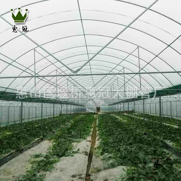 蔬菜大棚现货批发农业养殖蔬菜大棚加固型单体瓜果蔬菜大棚
