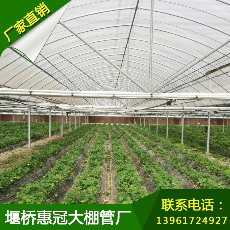 农业大棚定制热镀锌钢管农业大棚 现货批发温室养殖农业大棚