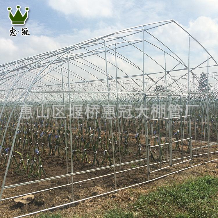骨架大棚单体骨架大棚温室大棚定制批发蔬菜温室大棚骨架