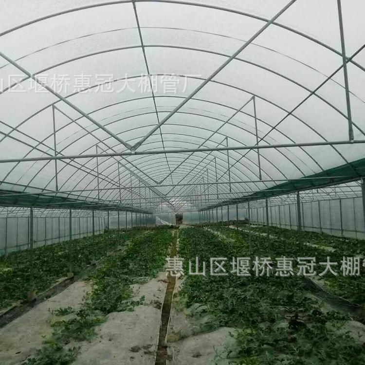 批发GP-825蔬菜温室蔬菜大棚骨架 单体蔬菜大棚厂家现货批发