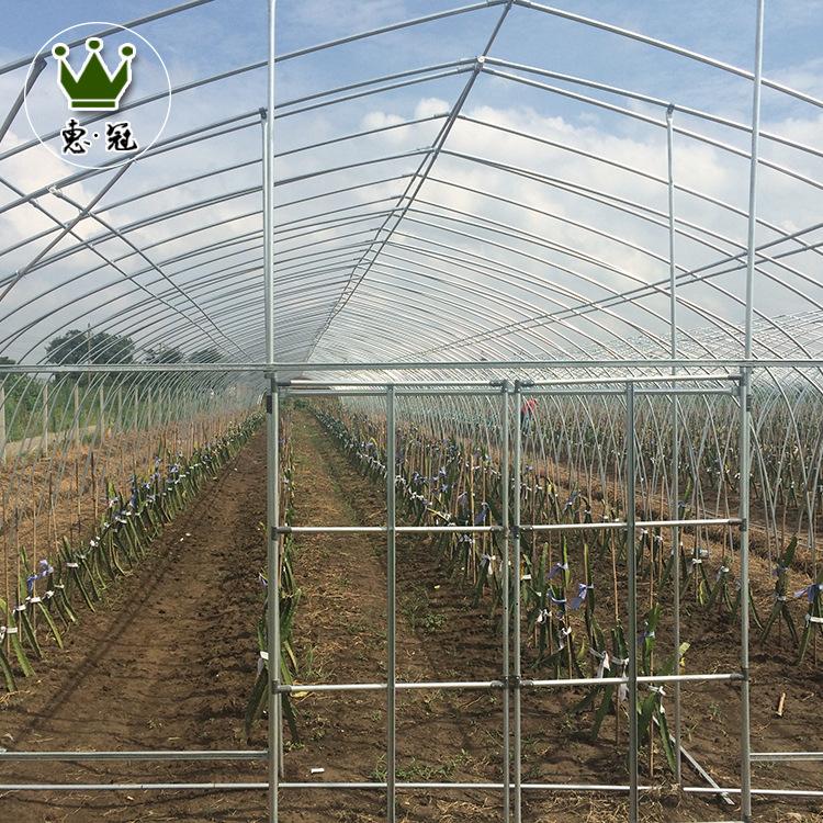 单体大棚定制蔬菜养殖单体大棚骨架 批发塑料薄膜单体大棚