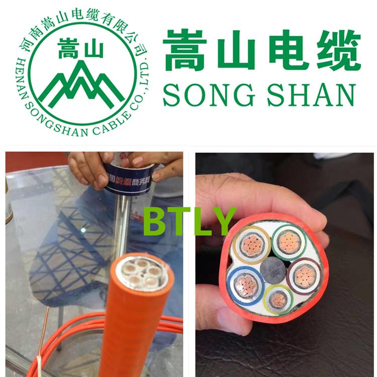 矿物质绝缘防火电缆 嵩山线缆有限公司 BTLY4等芯订购