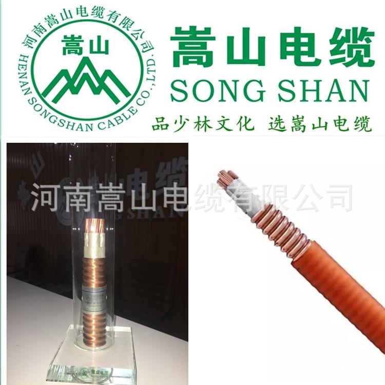 柔性矿物绝缘电缆 BTTRZ BTTW 3+2芯订购 嵩山线缆有限公司
