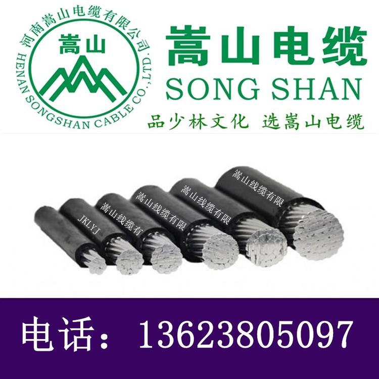 架空绝缘导线 JKLYJ 1KV 2芯平行 国标电缆 塑料绝缘电缆