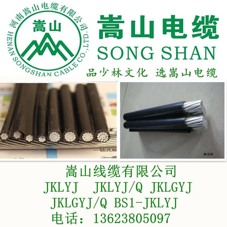 架空绝缘导线 JKLGYJ 1KV 单芯 国标电缆 聚乙烯电力电缆