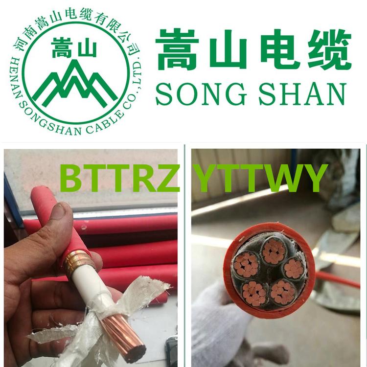 柔性矿物绝缘电缆 BTTRZ YTTW系列 4+1芯订购 嵩山线缆有限公司