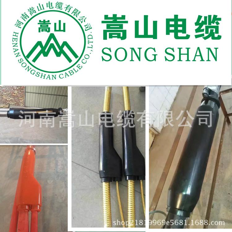厂家供应 预分支电缆头 河南嵩山电缆有限公司